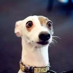 中国“海底悬浮高铁”横空出世，比飞机还快