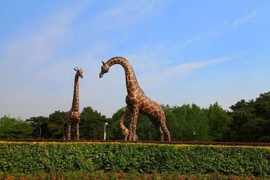 精彩吉林，相约世界 想玩不用东奔西走，长春这座城市应有尽有！