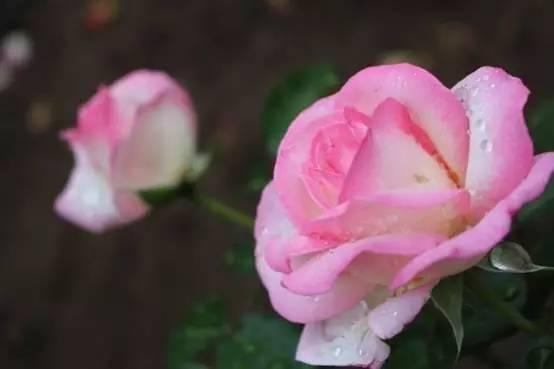 精彩吉林，相约世界 想玩不用东奔西走，长春这座城市应有尽有！