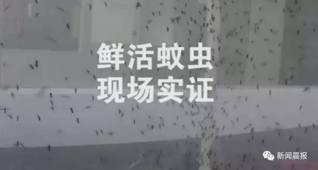 点一盘蚊香相当于连抽数包烟?实验结果揭秘真相