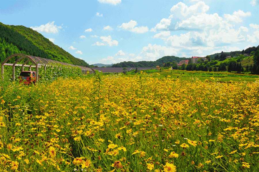 7efa8ad07be0a2ff96154019f855a6e0.gif 7efa8ad07be0a2ff96154019f855a6e0.gif