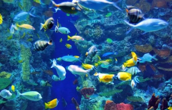 8天长假7天在下雨，国庆出游要“泡汤”？