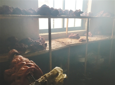 驴肉火烧之乡用猪肉马肉充当驴肉 大量运往北京 驴肉火烧之乡用猪肉马肉充当驴肉 大量运往北京