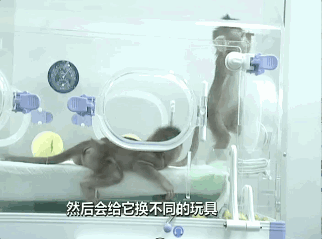 微信图片_20180504152946.gif 微信图片_20180504152946.gif