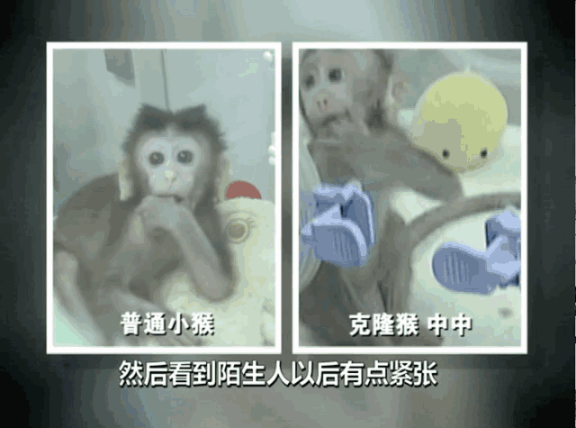 微信图片_20180504152914.gif 微信图片_20180504152914.gif