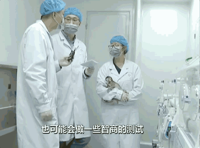 微信图片_20180504152824.gif 微信图片_20180504152824.gif