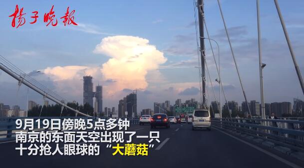 QQ截图20180920103038.jpg QQ截图20180920103038.jpg