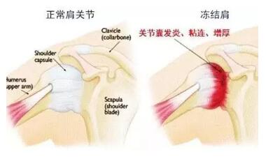 QQ截图20190621093924.jpg QQ截图20190621093924.jpg