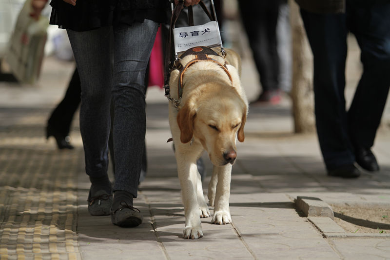 VCG11452357723_副本.jpg VCG11452357723_副本.jpg