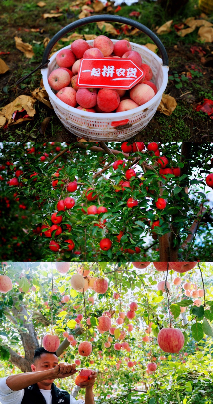 图片10.png 图片10.png