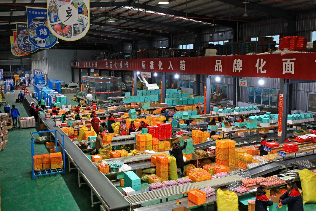 图片11.png 图片11.png