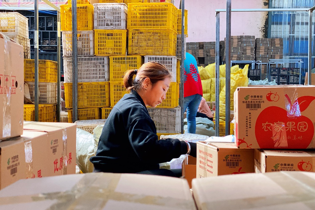 图片13.png 图片13.png