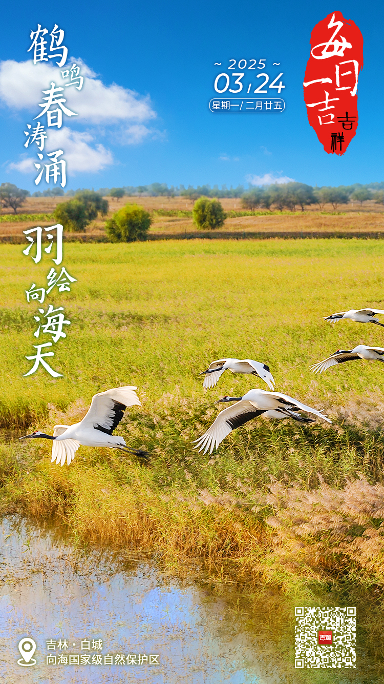 AE4C330E270B4DD906B5748B4564AEC9.jpg AE4C330E270B4DD906B5748B4564AEC9.jpg