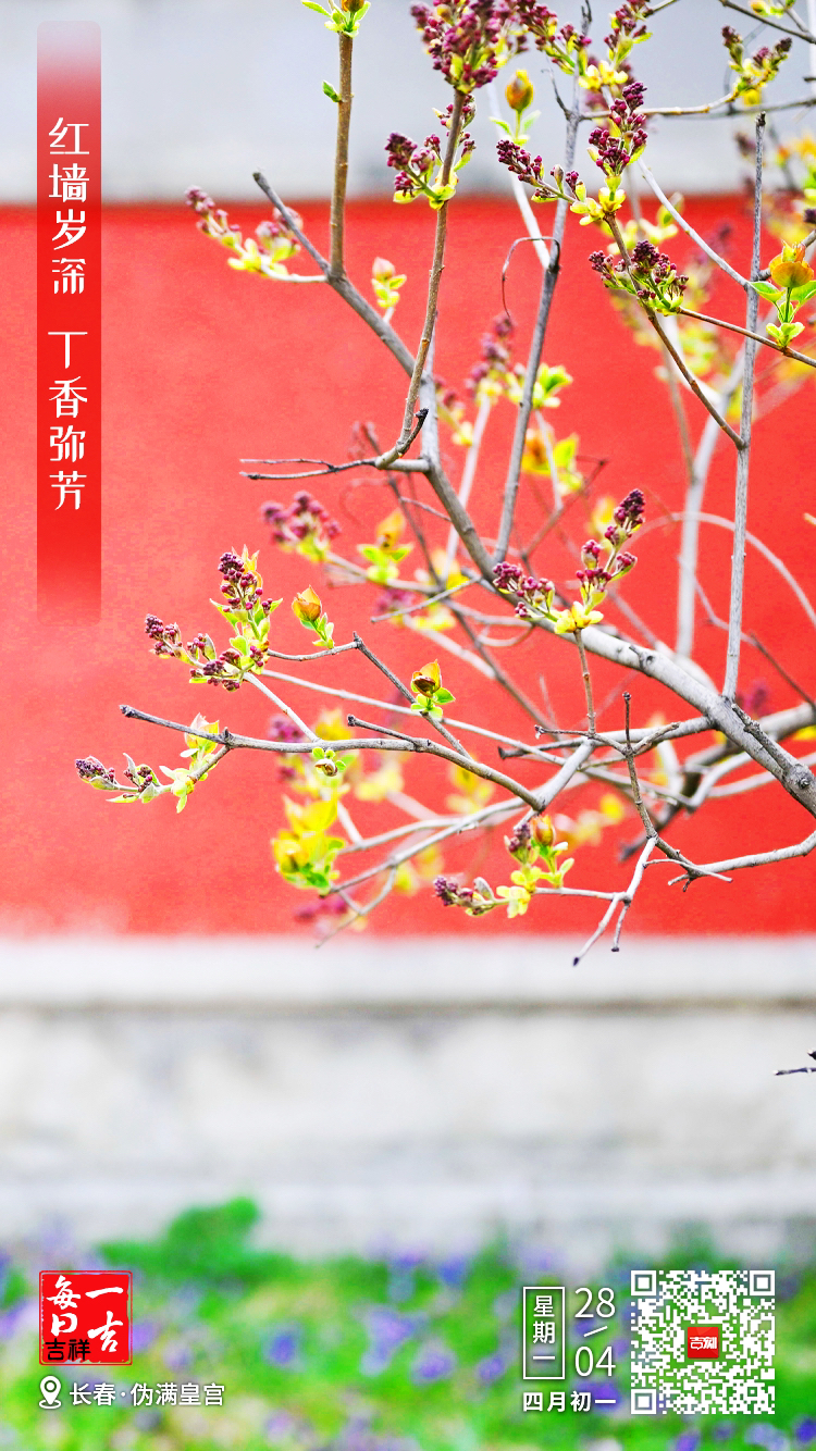 W0202504280060285410000.jpg W0202504280060285410000.jpg