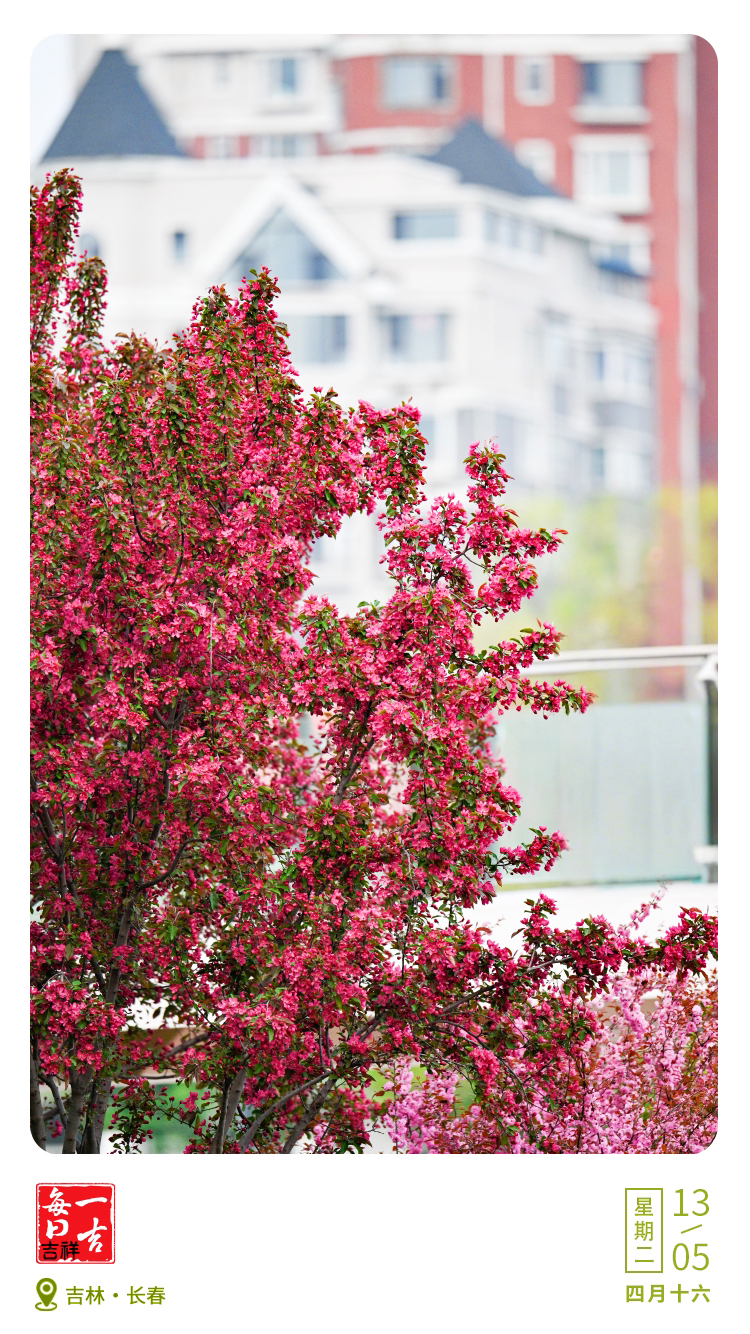 W020250513002746085073.jpg W020250513002746085073.jpg