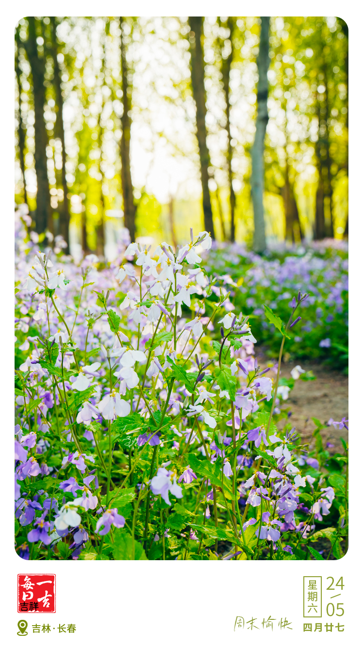 微信图片_20250524060818.jpg 微信图片_20250524060818.jpg