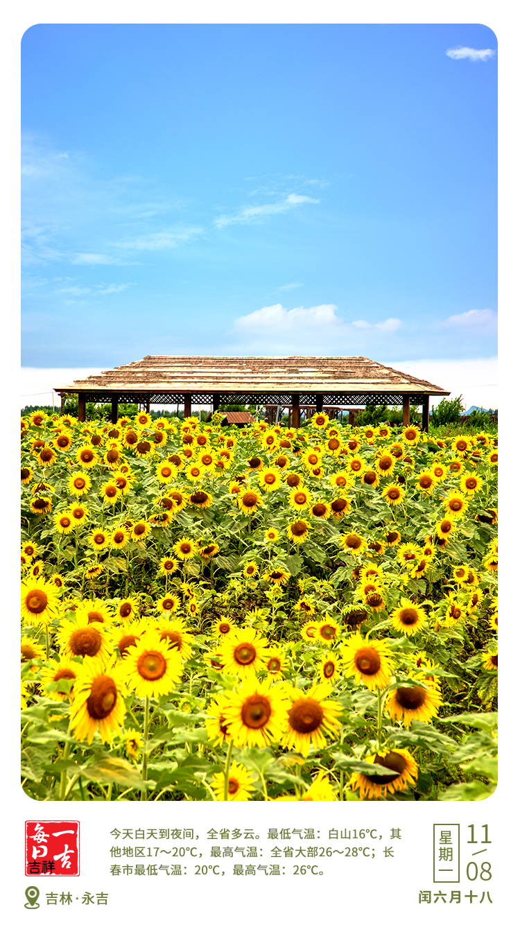 每日一吉·吉祥|8月11日.jpg 每日一吉·吉祥|8月11日.jpg