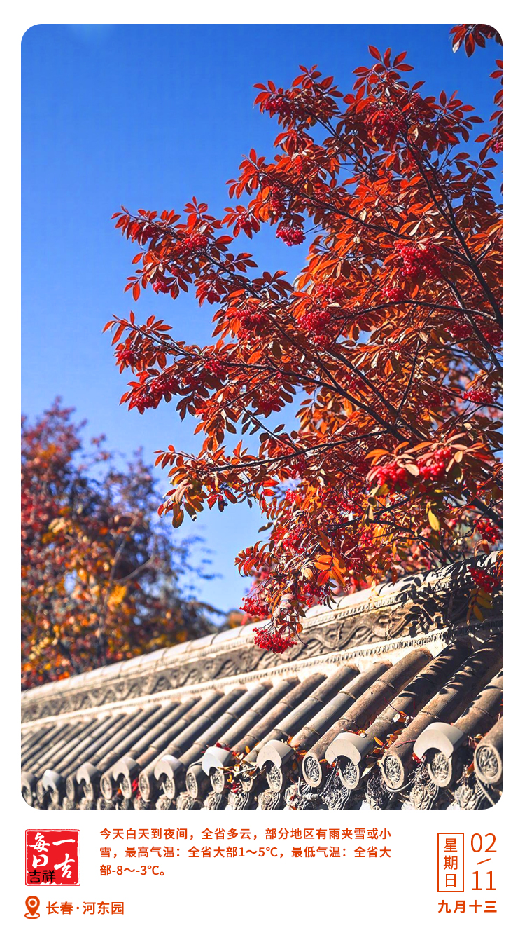 微信图片_20251101230353_6_9.jpg 微信图片_20251101230353_6_9.jpg