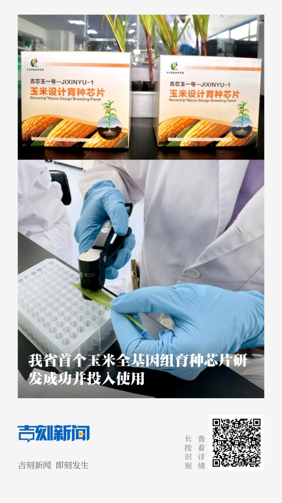 QQ图片20260609223456.jpg
