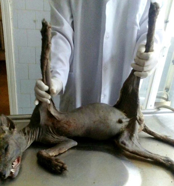 1_副本.jpg 1_副本.jpg