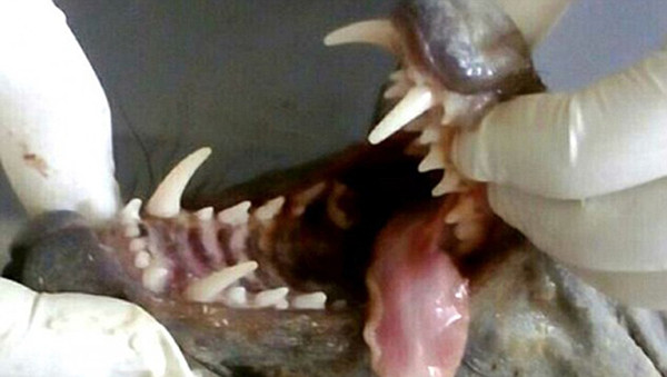 2_副本.jpg 2_副本.jpg