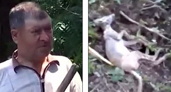 3_副本.png 3_副本.png