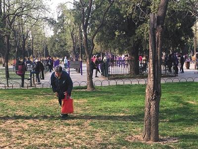 春天来了野菜疯长 专家提醒吃野菜别太“任性”