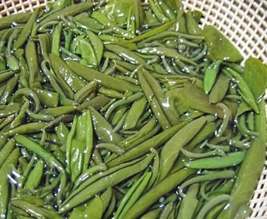 春天来了野菜疯长 专家提醒吃野菜别太“任性”