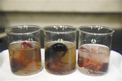 小龙虾有多种寄生虫?实验发现煮熟了吃就没事