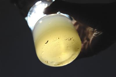 小龙虾有多种寄生虫?实验发现煮熟了吃就没事