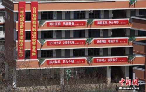 资料图。 中新社发 泱波 摄 资料图。 中新社发 泱波 摄