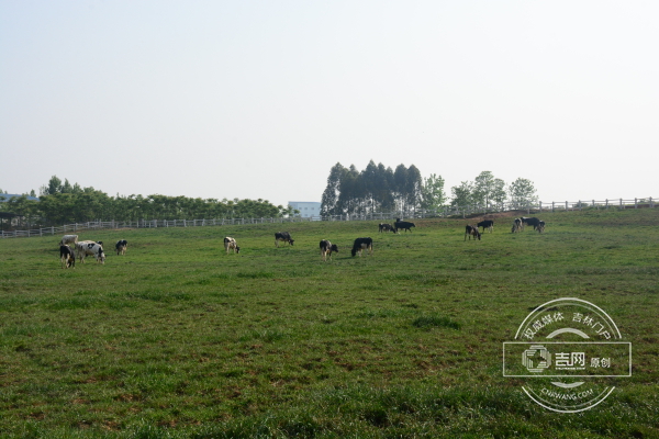 webwxgetmsgimg (1).jpg webwxgetmsgimg (1).jpg