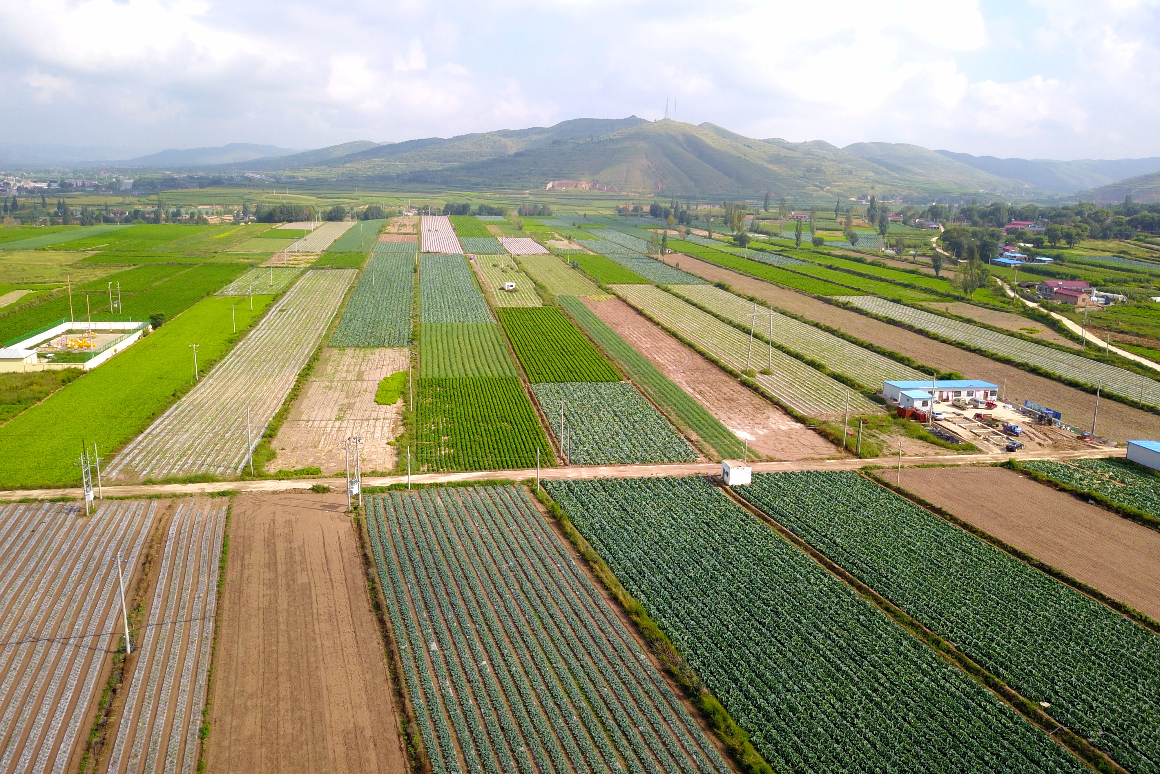 【2018網絡媒體寧夏行】西吉縣:發展訂單蔬菜種植助力脫貧