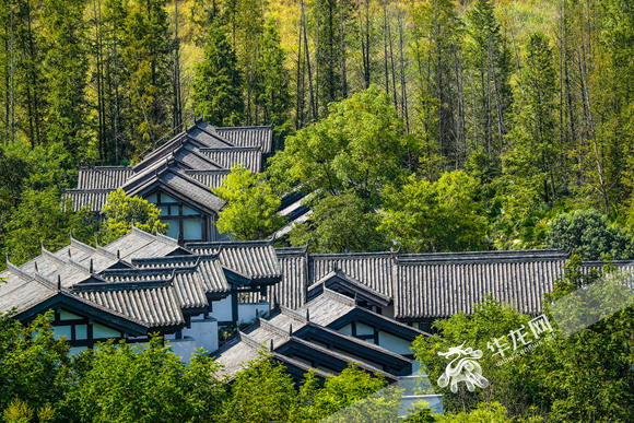 图片23.png 图片23.png