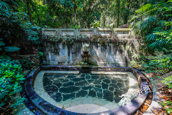 图片27.png 图片27.png