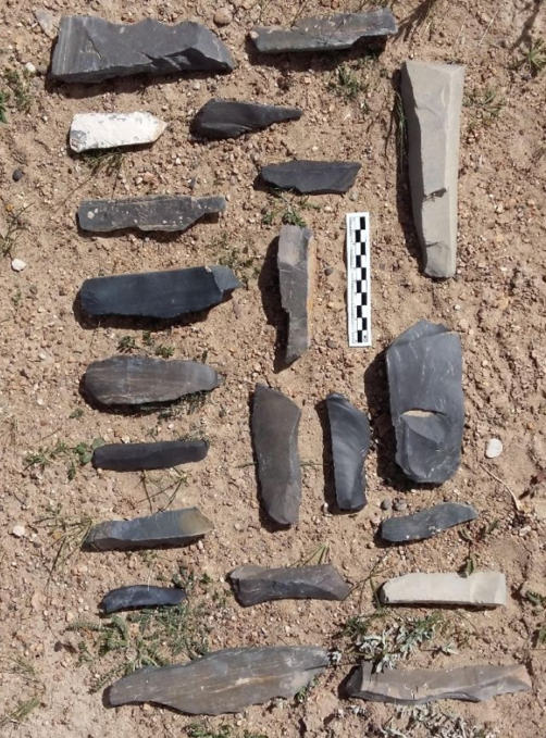 尼阿底遗址采集的石叶