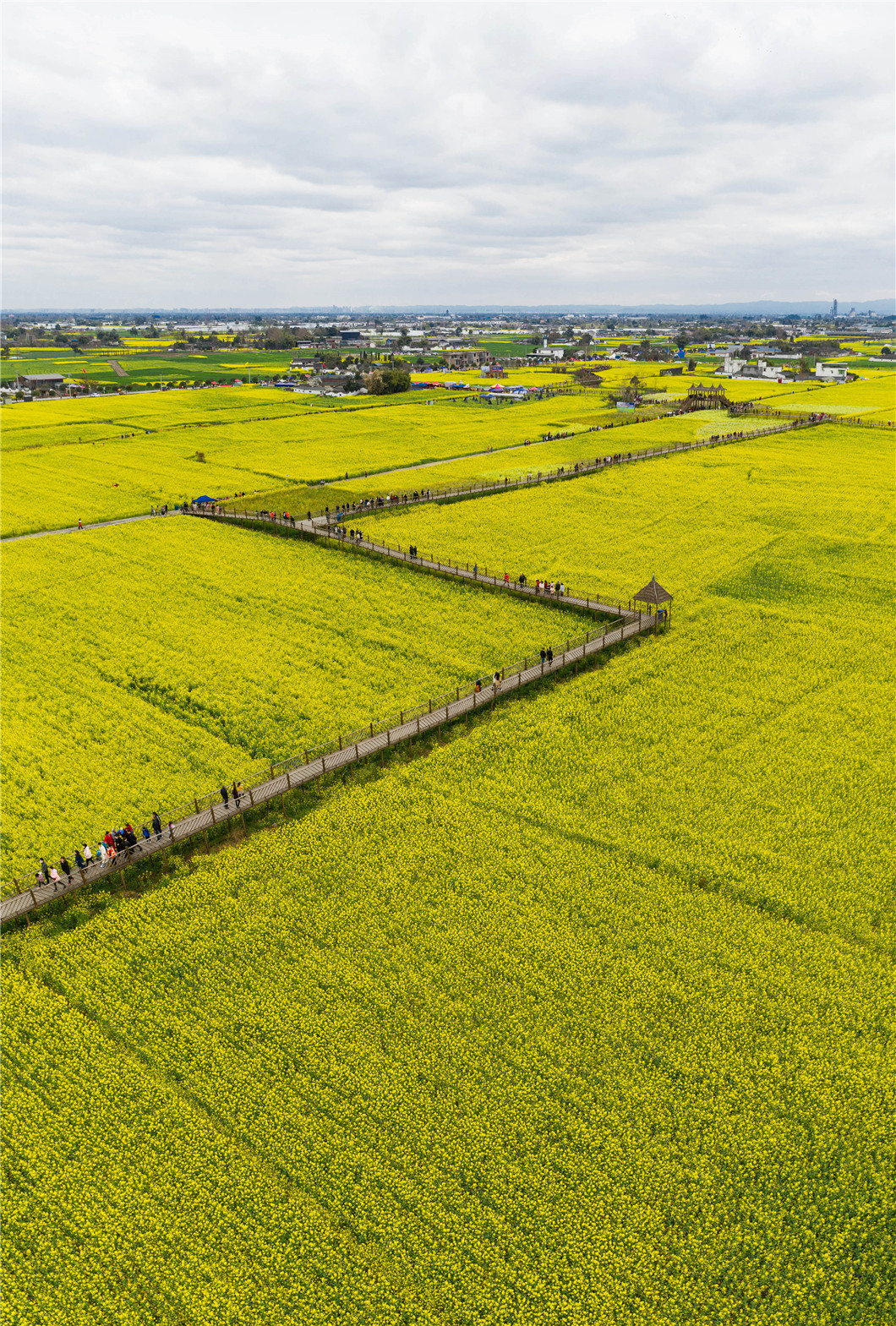 川西平原花季之旅