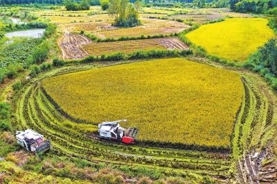 FABFE135-2AFE-41AF-B73F-11E40B0BD79B.jpeg FABFE135-2AFE-41AF-B73F-11E40B0BD79B.jpeg