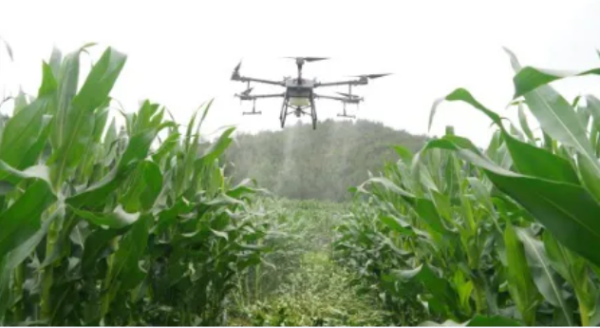 图片4.png 图片4.png