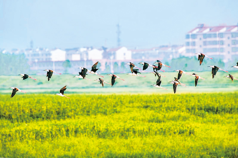 rmrbhwb2025052008-5.jpg rmrbhwb2025052008-5.jpg