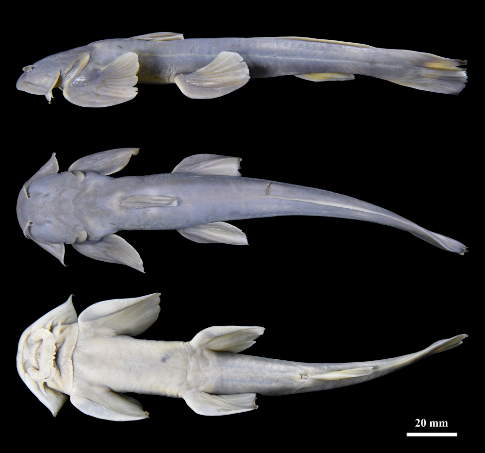 微信图片_2025-12-14_225914_929.png 微信图片_2025-12-14_225914_929.png