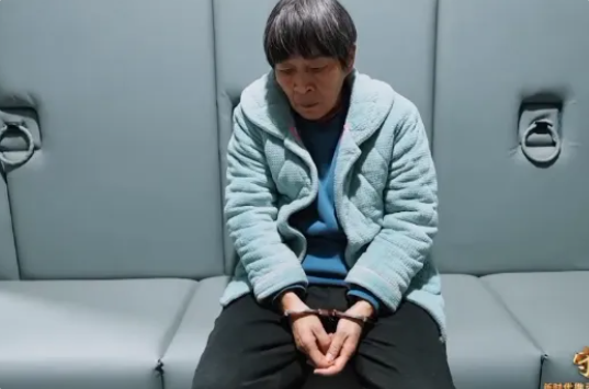 QQ_1770560034957.png QQ_1770560034957.png