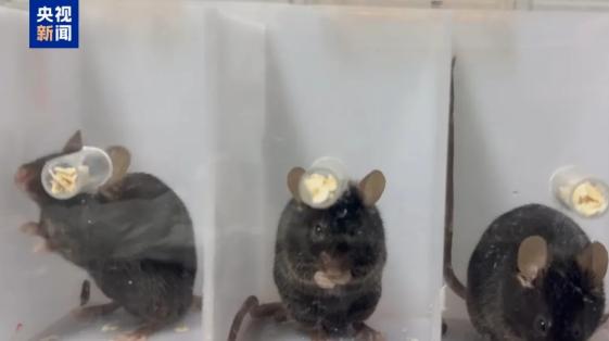 ScreenShot_2026-04-11_133448_626.png ScreenShot_2026-04-11_133448_626.png