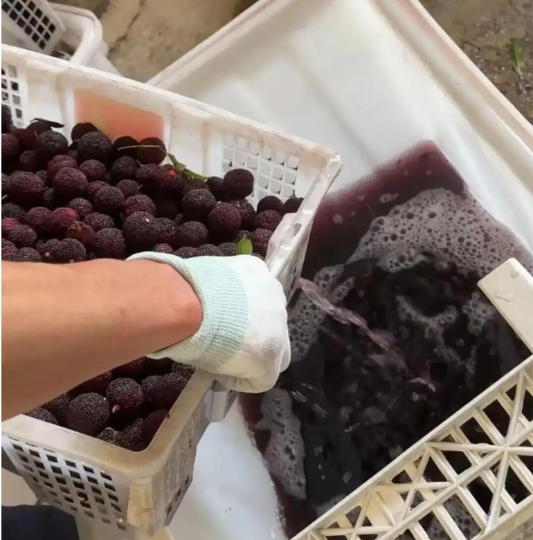QQ20260520-222018.jpg