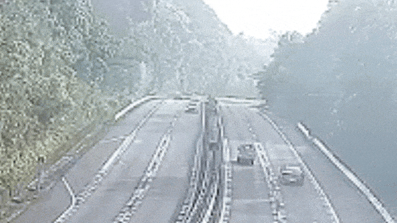 4.gif