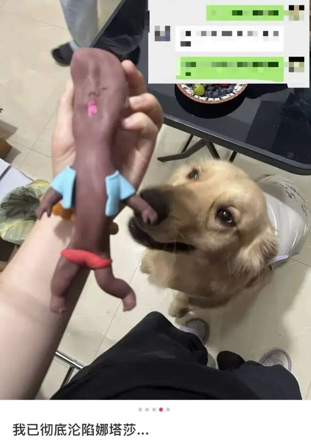 微信图片_2026-06-01_142921_360.jpg