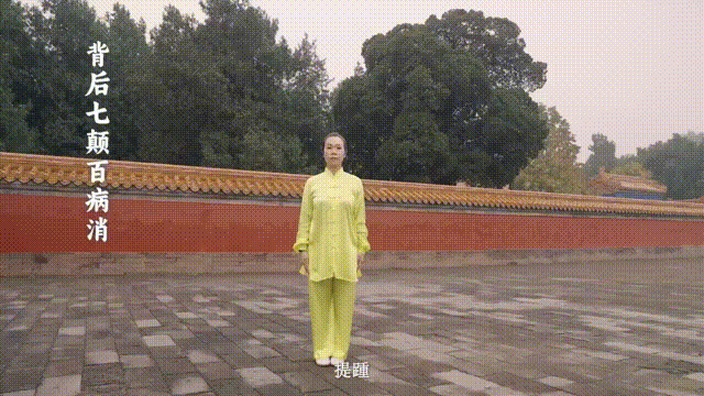 08.gif