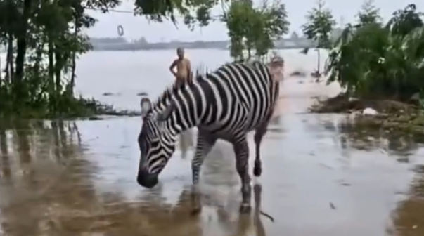 微信图片_2026-07-08_183133_851.png 微信图片_2026-07-08_183133_851.png