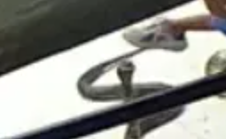 微信图片_2026-08-31_065122_873.png