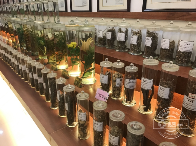 第五届全国网络媒体广西行新闻采访团来到玉林银丰国际中药港